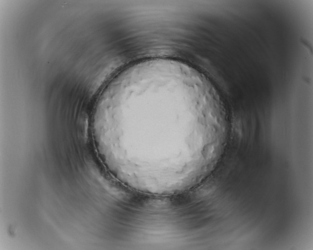 X0000103500110200809262023