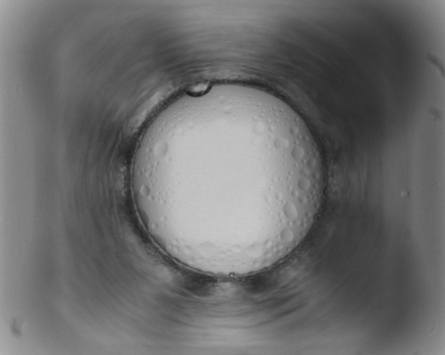 X0000103500111200809262023