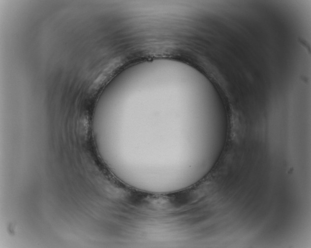 X0000103500113200809262023