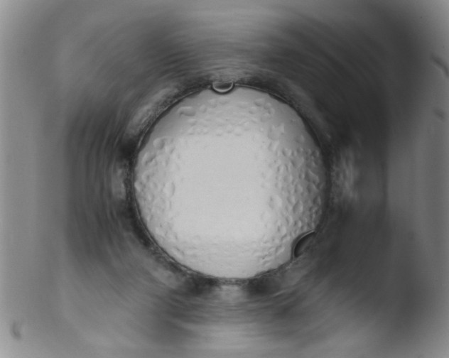 X0000103500114200809262023