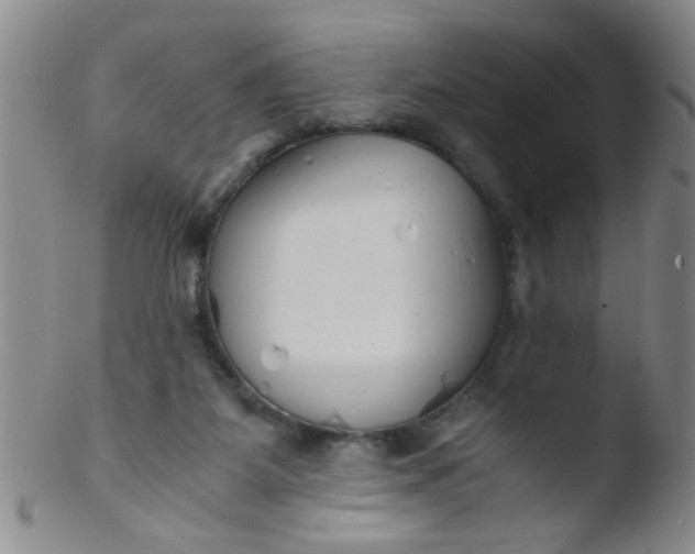 X0000103500115200809262023