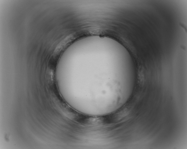 X0000103500117200809262023