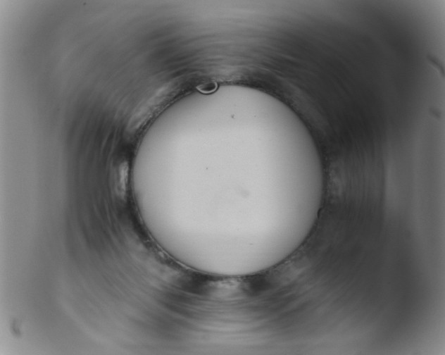 X0000103500118200809262023