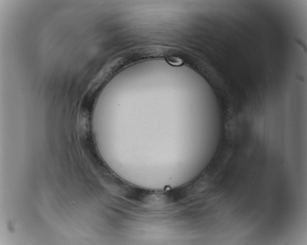 X0000103500119200809262023