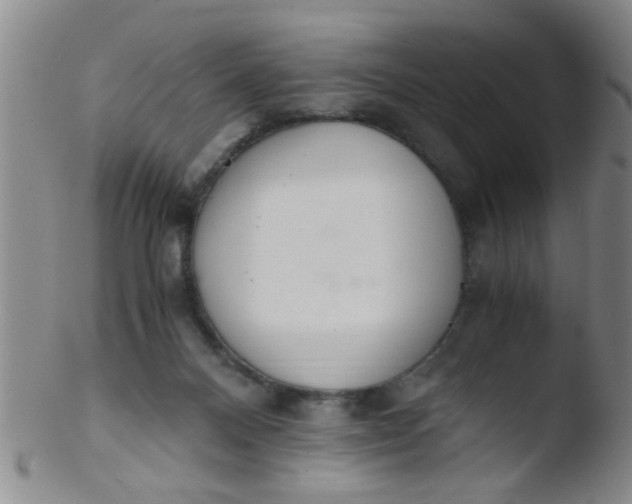 X0000103500120200809262023