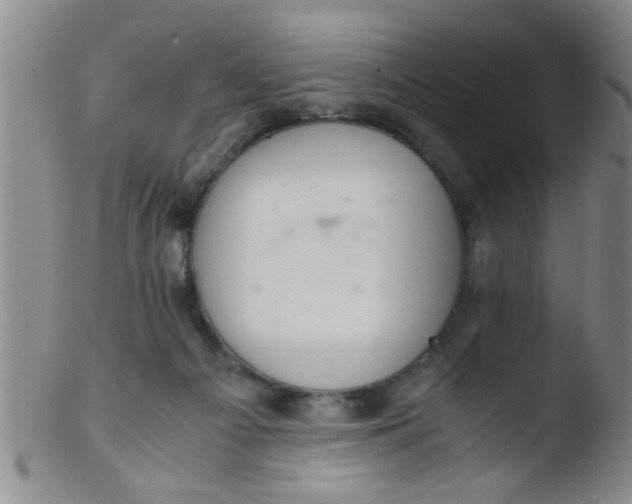 X0000103500121200809262023