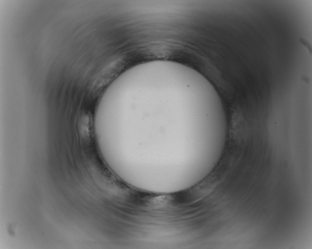 X0000103500122200809262022