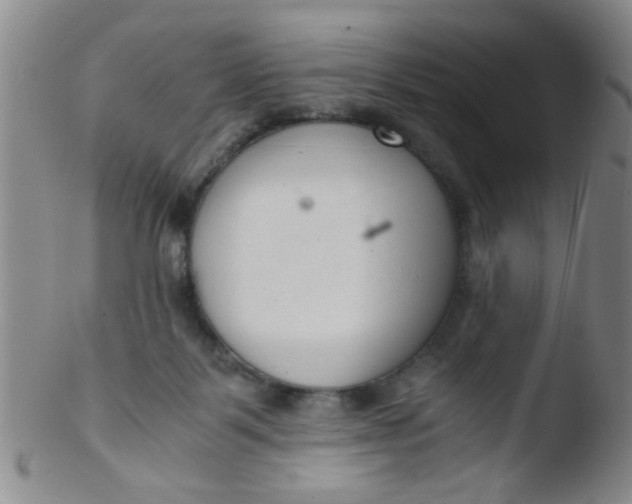 X0000103500123200809262022