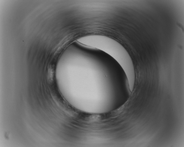 X0000103500124200809262022