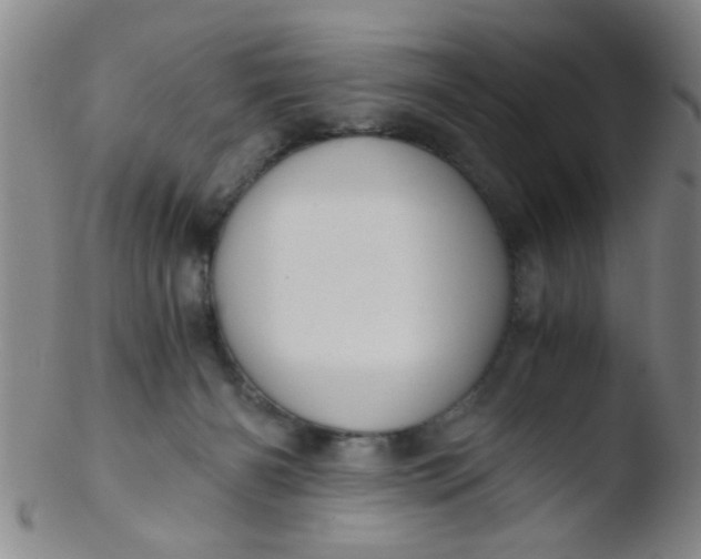 X0000103500126200809262022