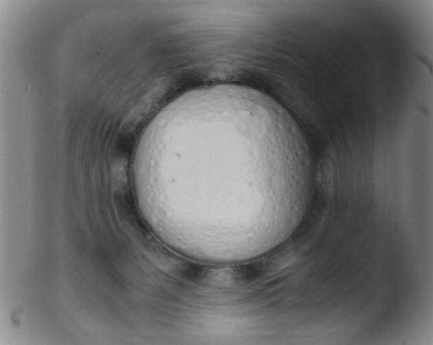 X0000103500127200809262022