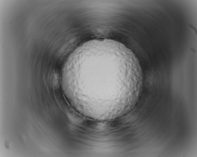 X0000103500130200809262022