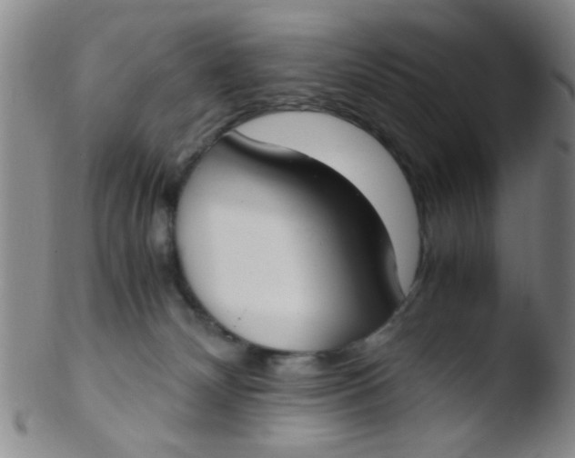 X0000103500132200809262022