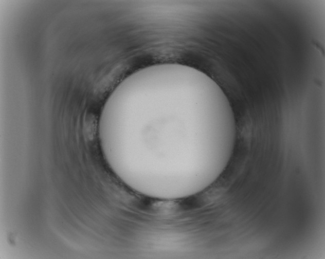 X0000103500133200809262022