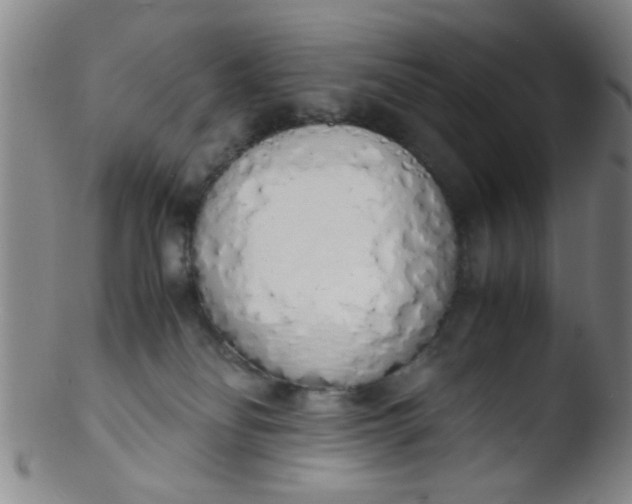 X0000103500134200809262022