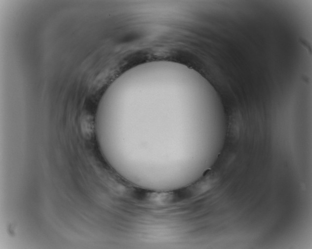 X0000103500135200809262022