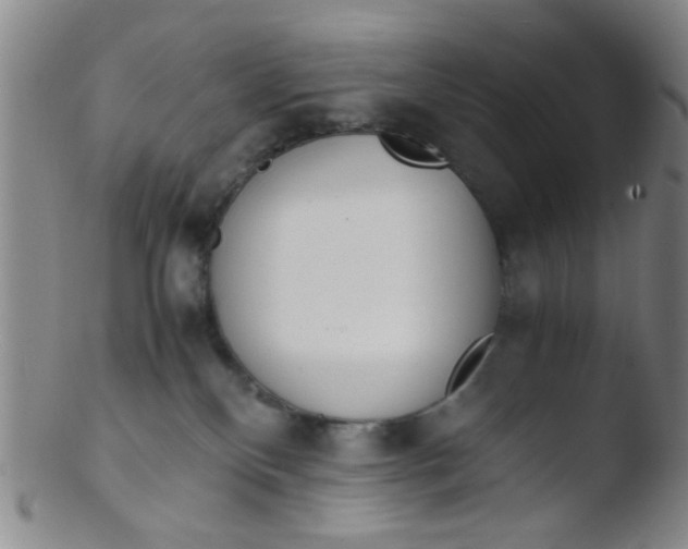 X0000103500136200809262022