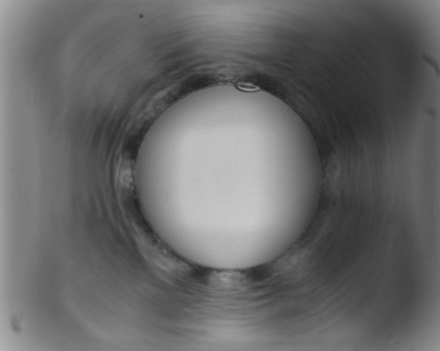 X0000103500137200809262022