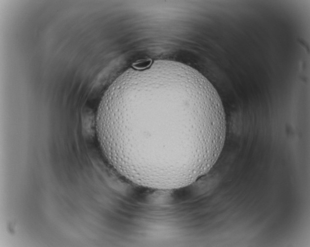 X0000103500138200809262022