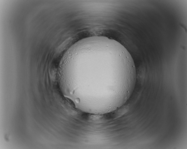 X0000103500139200809262022