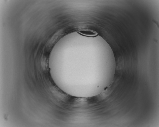 X0000103500140200809262022