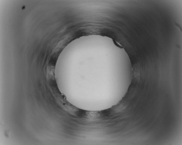 X0000103500141200809262022