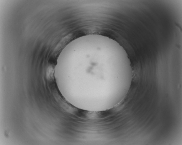 X0000103500142200809262022