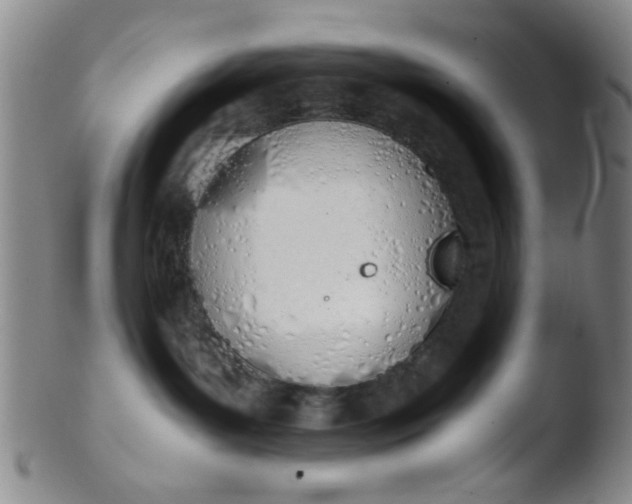 X0000103500143200809262022