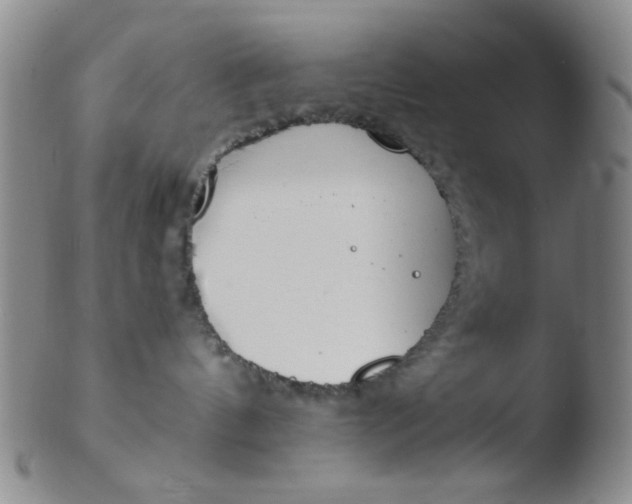 X0000103500144200809262022