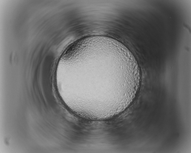 X0000103500145200809262021