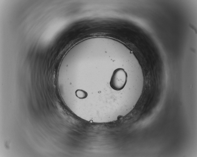 X0000103500146200809262021