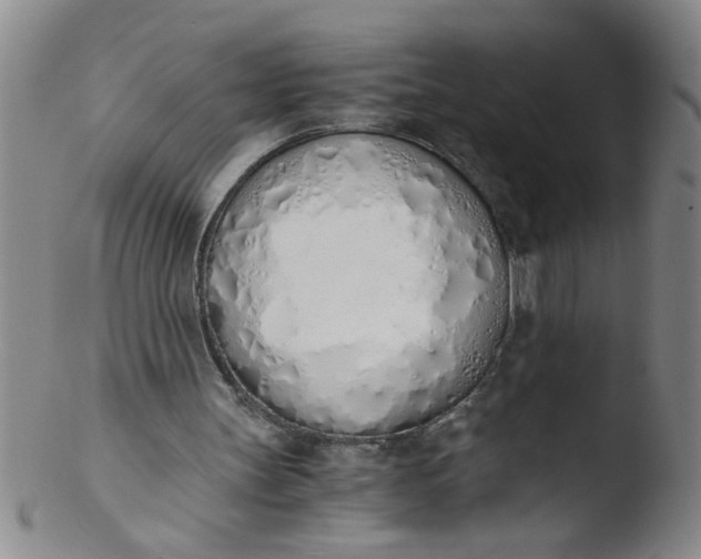 X0000103500147200809262021