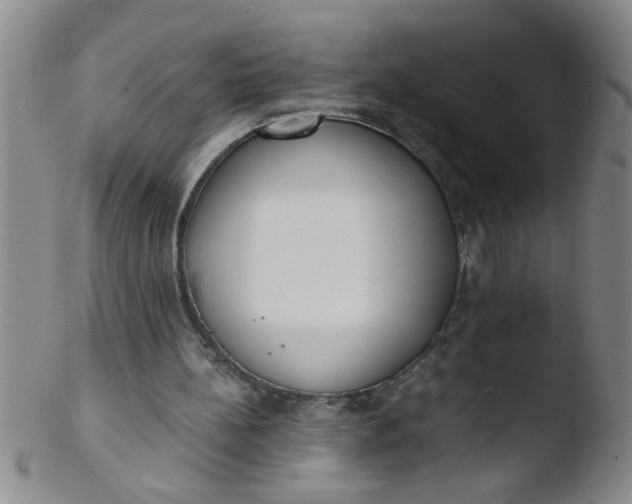 X0000103500148200809262021