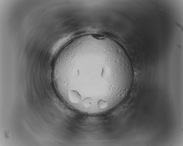 X0000103500149200809262021