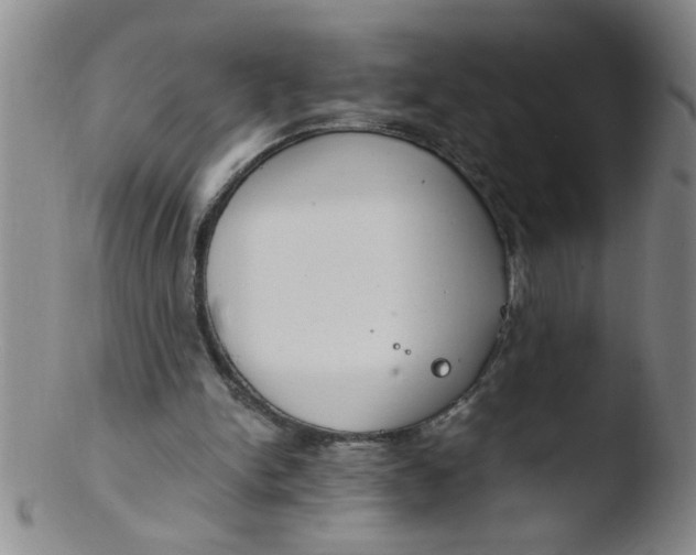 X0000103500150200809262021