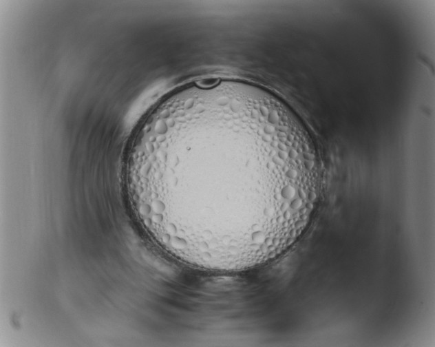 X0000103500151200809262021