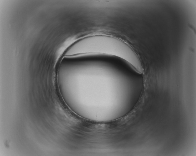 X0000103500152200809262021