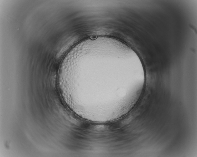 X0000103500153200809262021