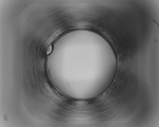 X0000103500154200809262021