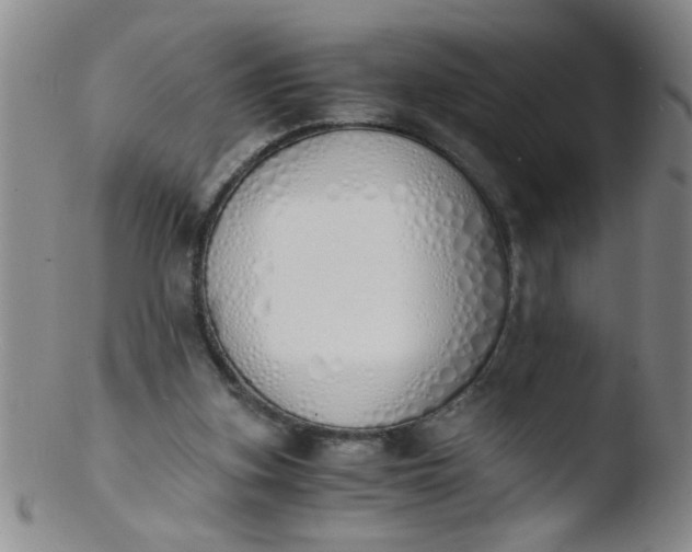 X0000103500155200809262021