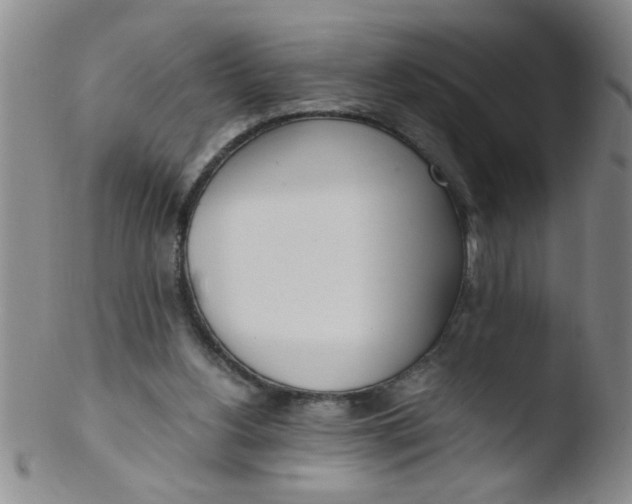 X0000103500156200809262022