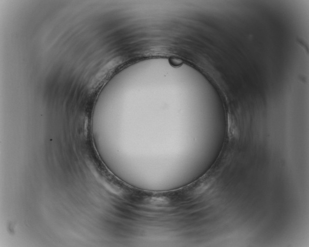 X0000103500157200809262022