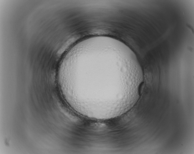 X0000103500159200809262022