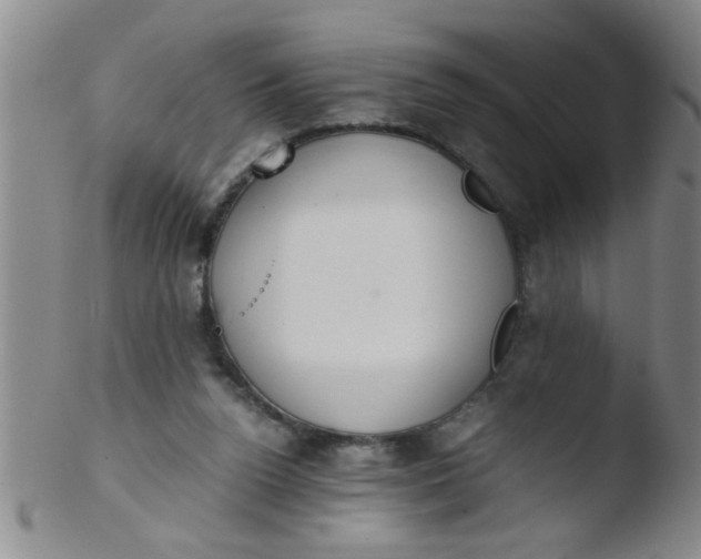 X0000103500160200809262022