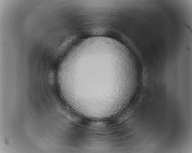 X0000103500161200809262022