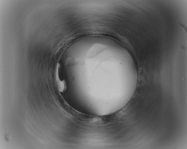 X0000103500162200809262022