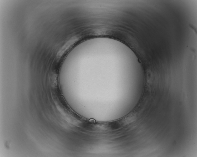 X0000103500164200809262022