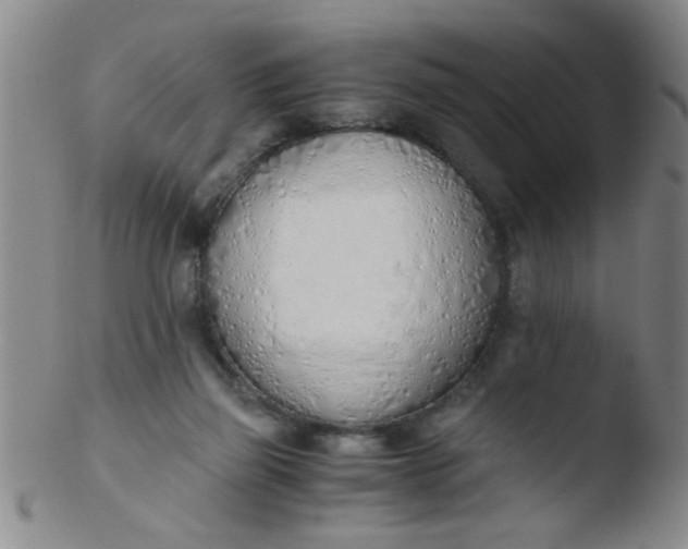 X0000103500165200809262022