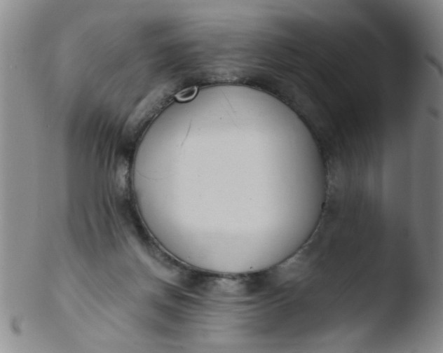 X0000103500166200809262022