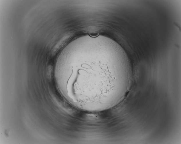 X0000103500167200809262022